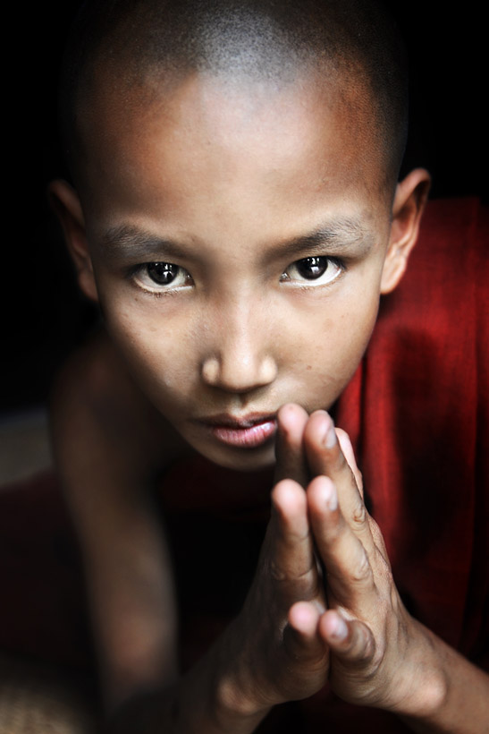 Novice Monk Praying