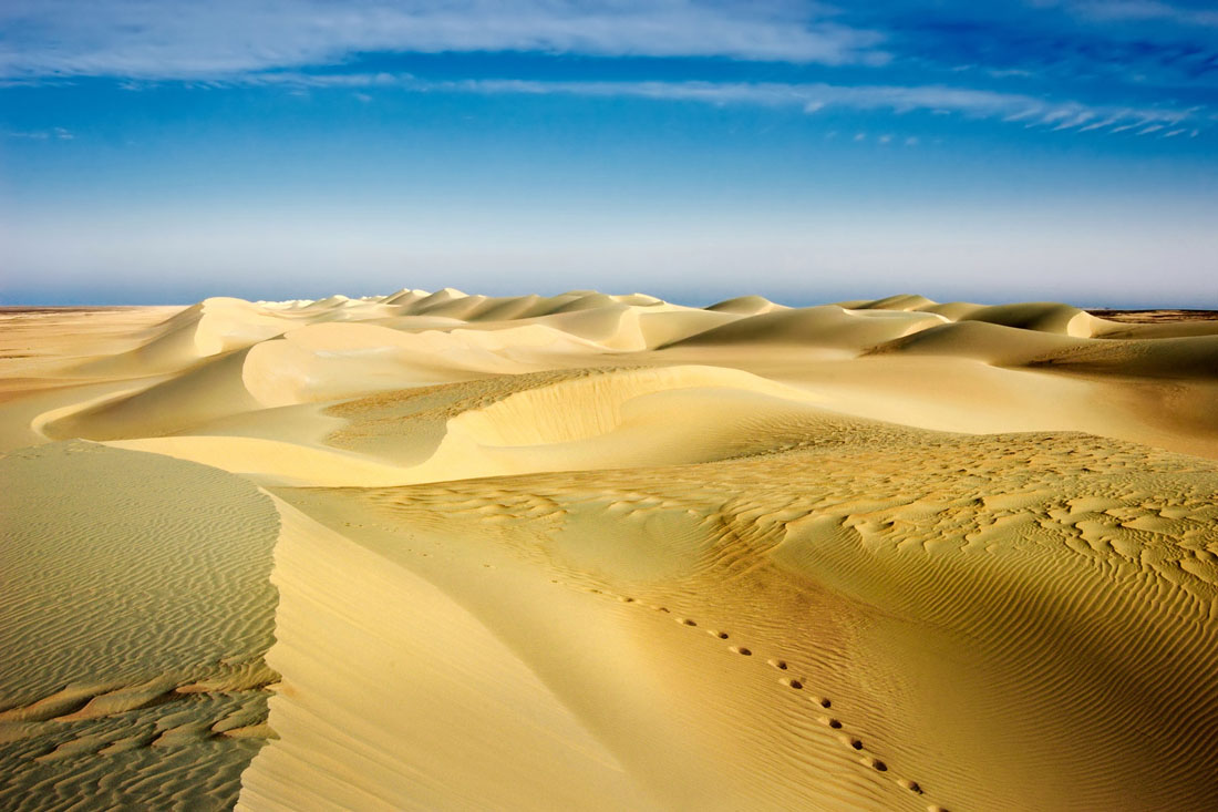 Footprints in the Dunes