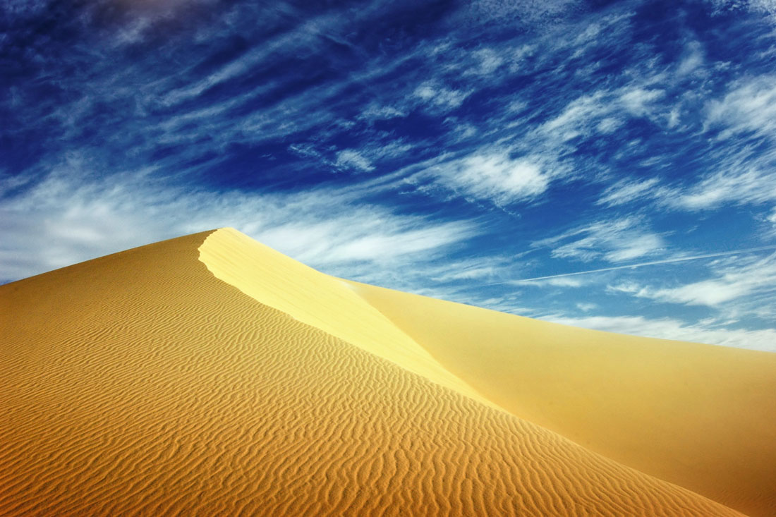 Dune