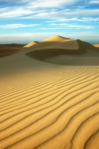 Dune Patterns