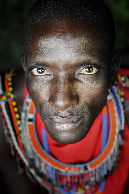 Masai Warrior Portrait 1