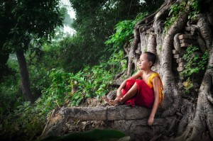 The Tree of Life