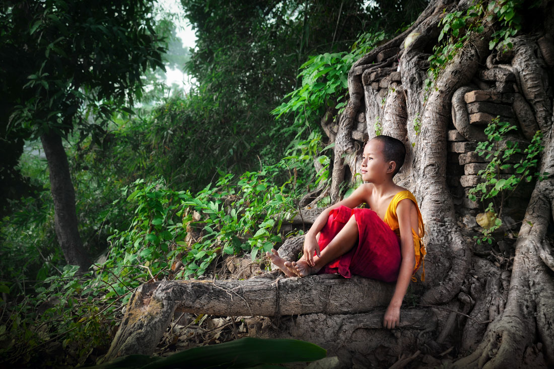 The Tree of Life