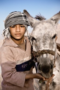 Boy and His Donkey