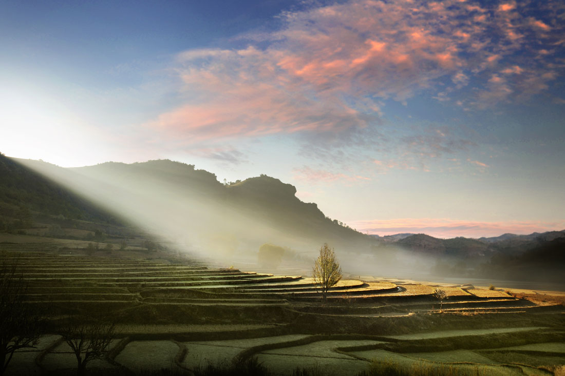 Morning Rays