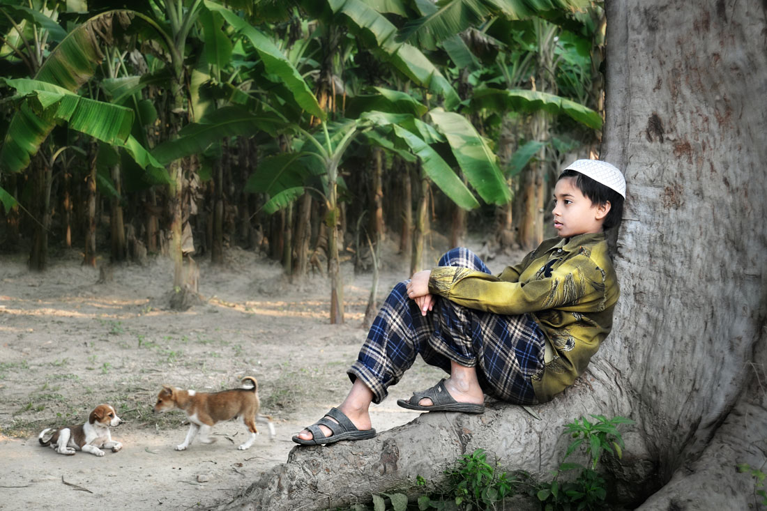 Boy with Puppies