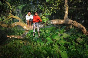 Two Friends Up a Tree
