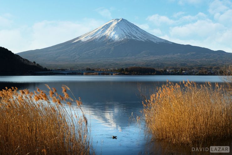 Luminous Journeys Photo Tours