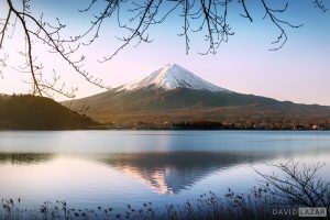 Impressions of Japan