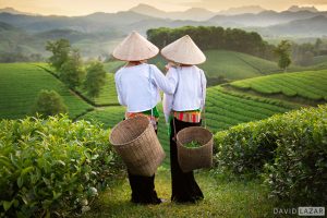 Vietnam Gallery 4